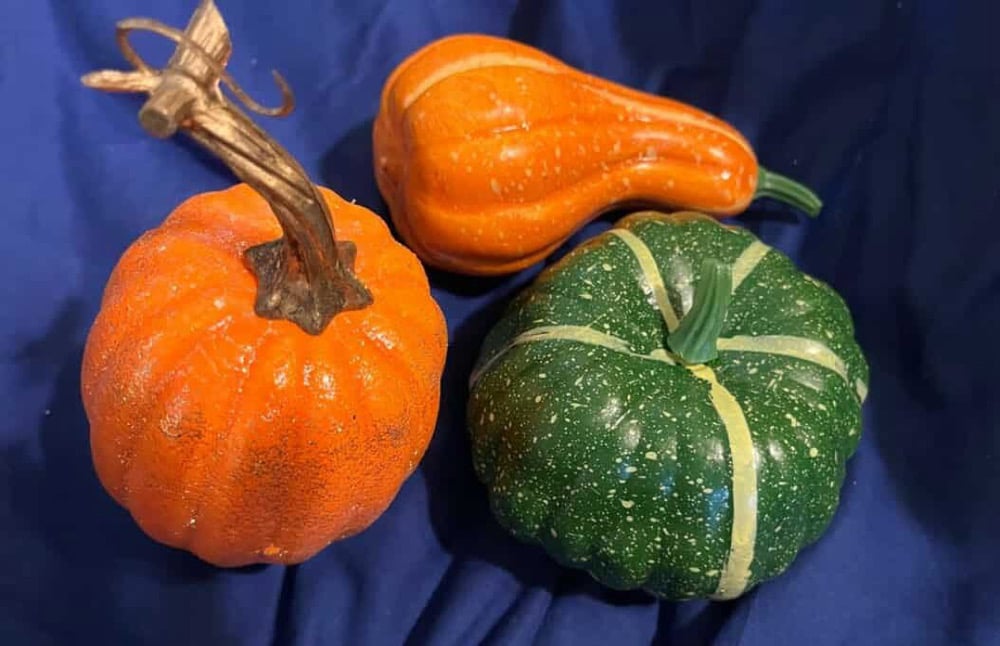 Image of Skylar Foundation/ Fall Basket