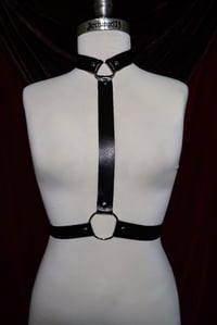 Image 2 of Sulk | O ring buckled harness