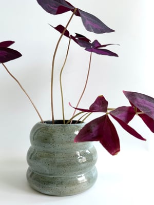 Image of Wiggle utensil holder/vase in sage 