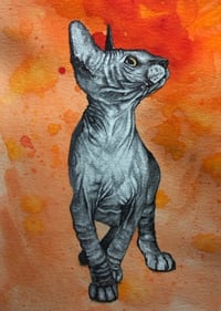 Image 2 of Orange Encounter