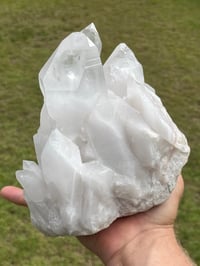 Image 9 of Clear Quartz Points Cluster Statement Piece #2188