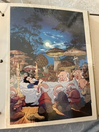 Image 2 of Snow White shrooms 