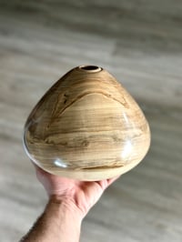 Image 5 of Ambrosia Maple Hollow Form