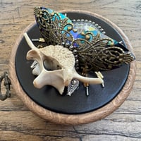 Image 2 of Snake skin  vertebrae  beetle (c, 4 inches)