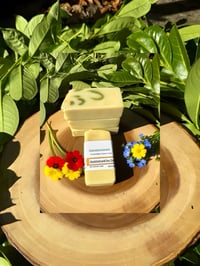Eucalyptus and Tea Tree Bar Soap 