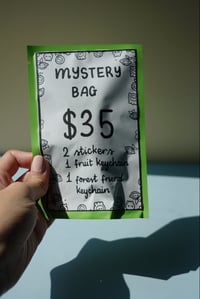 Image 3 of Mystery Bags