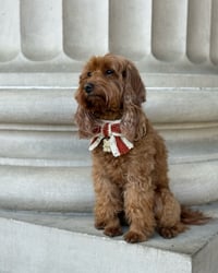 Image 2 of BEAR & BOW - SPECKLED SIENNA