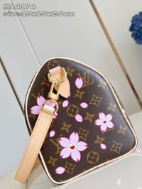 Image 3 of LV Cherry Blossom Speedy
