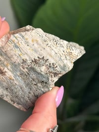 Image 4 of SELF STANDING DENDRITIC FELDSPAR -ITALY- I