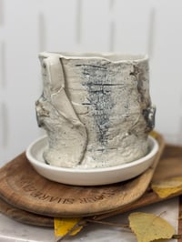 Image 4 of Birch bark Planter (# 5)