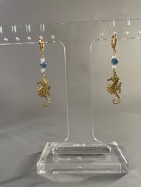 Image 2 of Seahorse 
