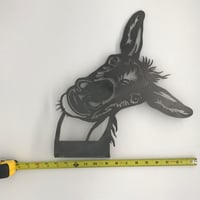 Image 4 of Donkey