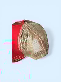 Image 2 of IGD TRUCKER 