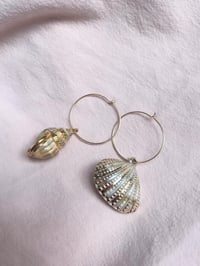 Image 1 of boucles  d oreilles Coquillage 