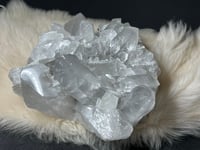 Image 11 of Grey Phantom Quartz Points Cluster #2244