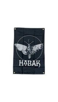 Image 3 of Polilla & Craneo Banners