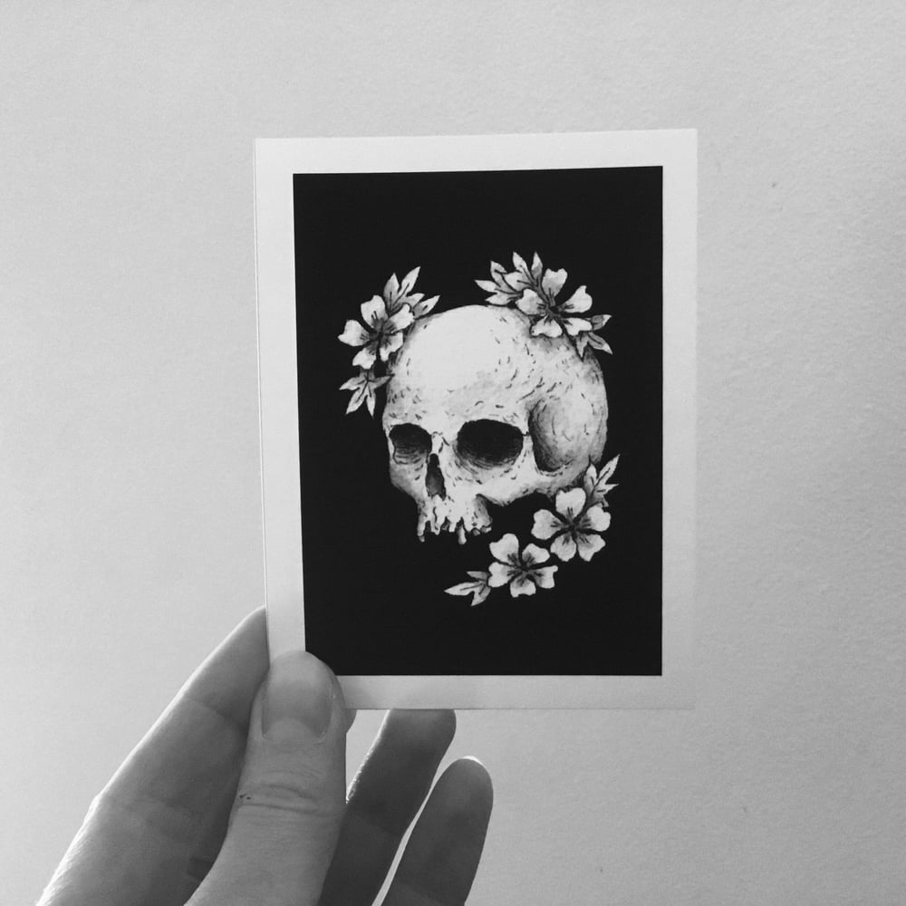 Skull And Geraniums Mini Print