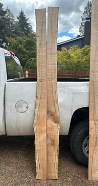 Figured maple 4/4 bookmatch 