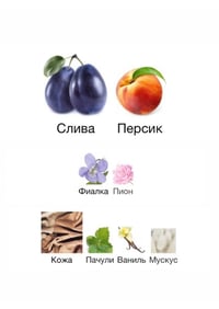 Image 3 of OIL PERFUME NEW BOOK 10 ml