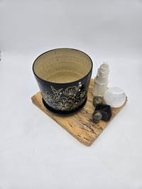 Image 3 of Black Cosmo Planter