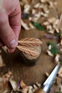 Image 10 of Feather ~ Earrings 