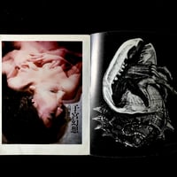 Image 3 of Le Sang et la Rose #4
