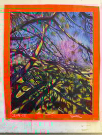 Image 1 of 03-01-25 - SOLD