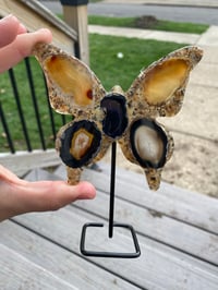 Image 2 of Butterfly Agate