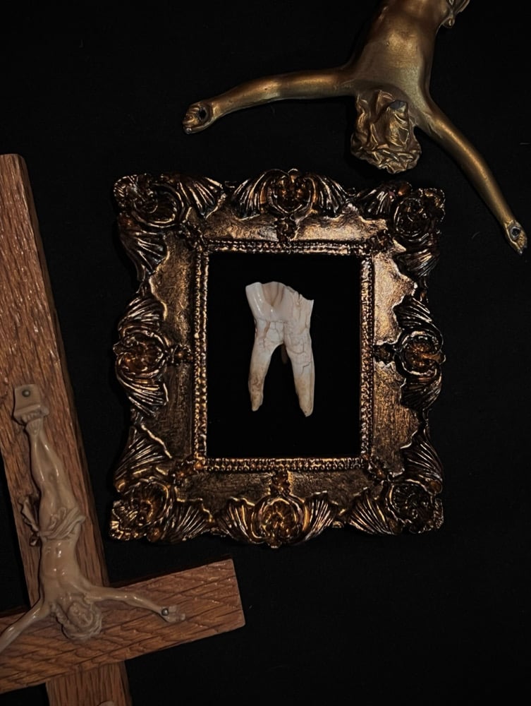 Image of Framed Tooth 