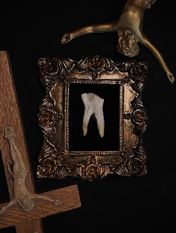 Image of Framed Tooth 