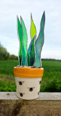 Image 1 of Stained Glass Snake Plant in Bee Pot 🐝 