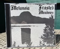 Metanoia & Frosted Meadows - Split CD