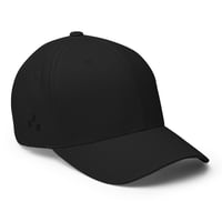 Image 1 of FLEXFIT HAT 1.0 BLACK