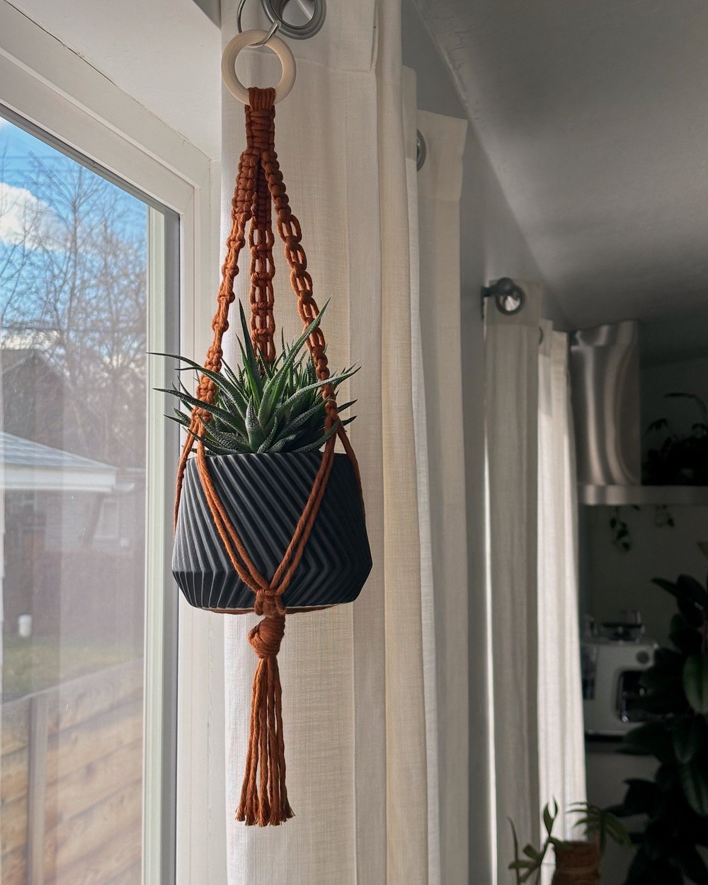 Image of Mini Plant Hangers