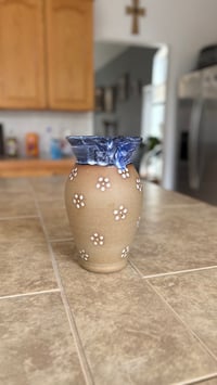 Image 5 of Pitcher 04