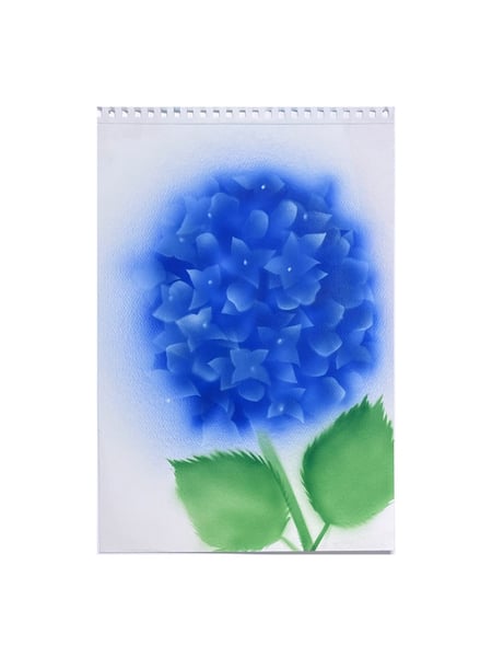 Image of Hortensia - 1 inflorescence (3)