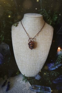 Image 2 of Harvest Moon Acorn 