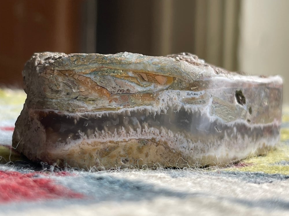 The Reptile Stone Montana Seam Agate