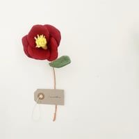 Image 3 of cocon flower 2