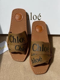 Image 4 of CHLO slides