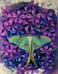 Image 3 of Lilac Luna 