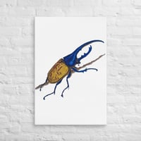 Image 1 of Canvas of Hercules Beetle