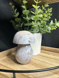 Ocean Jasper Mushie