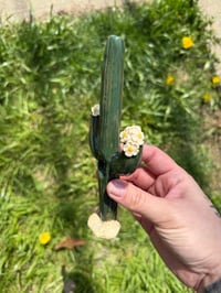 Image 3 of Cacti 🌵 