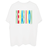 REHAB ICON COLORS