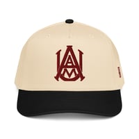 Image 4 of AAU LEGACY HAT