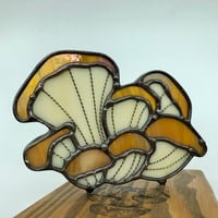 Image 2 of PRE-ORDER LISTING! Oyster Mushroom on Book