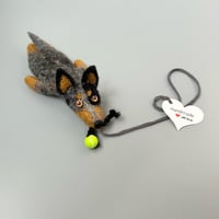 Image 2 of Australian Cattle Dog "Blue Heeler With Tennis Ball“