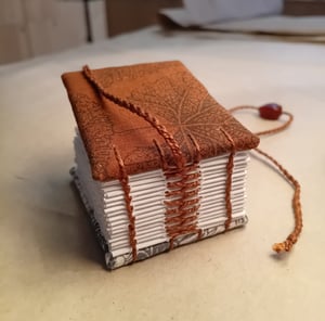 HOZAN — mini livre