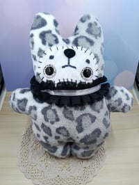 Image 1 of Little guy